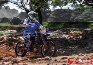 爆料视频摩托车大全最新,爆款车型盘点与亮点解析