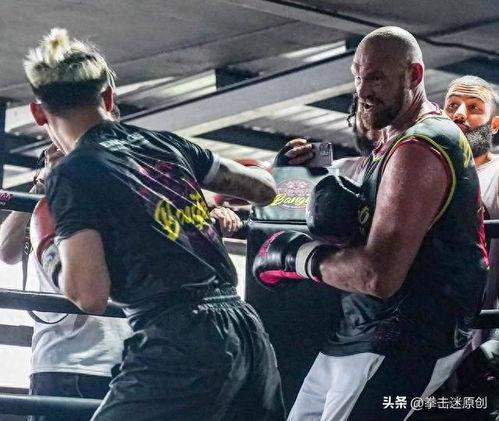 拳王富里最新爆料,最新动态与未来计划曝光